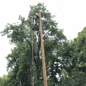 Meet your Posher, Cole